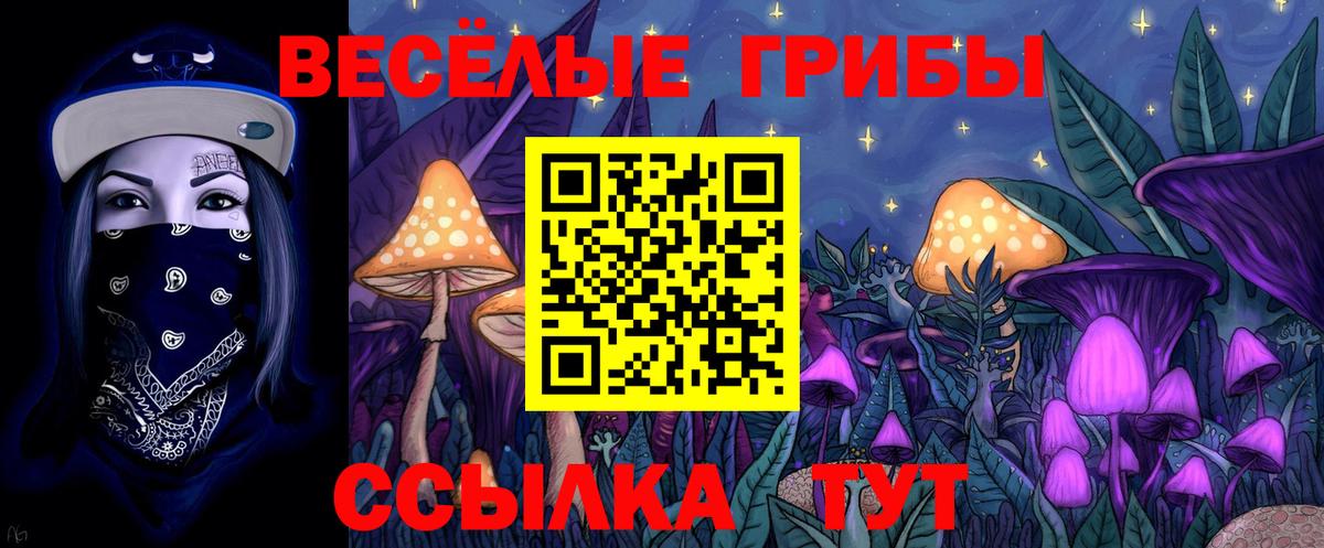 цена   Псилоцибиновые грибы GOLDEN TEACHER  Вход с VPN  Псилоцибиновые грибы мухоморы  Выборг 