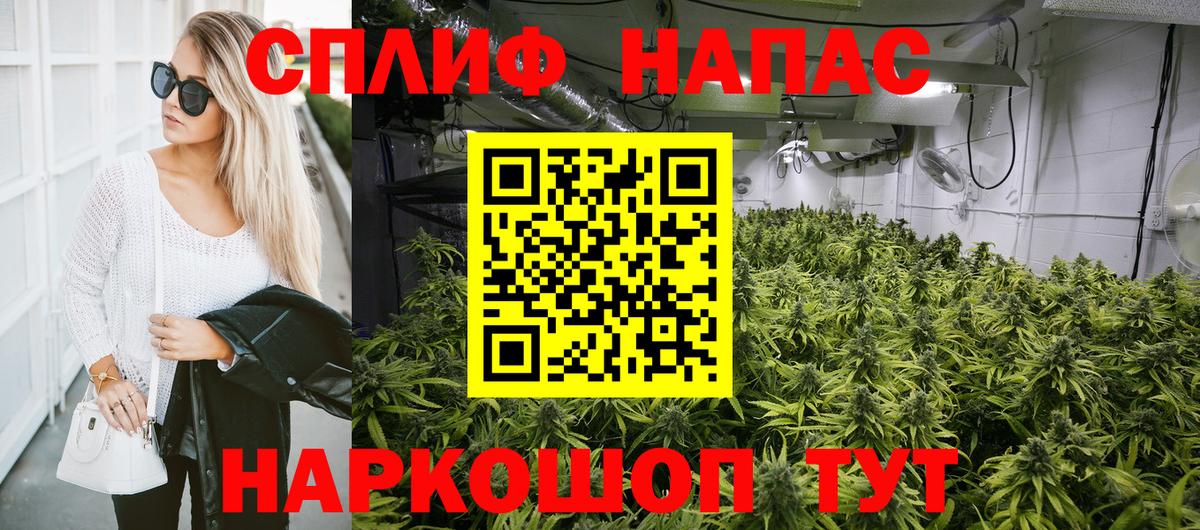 Шишки марихуана семена Выборг